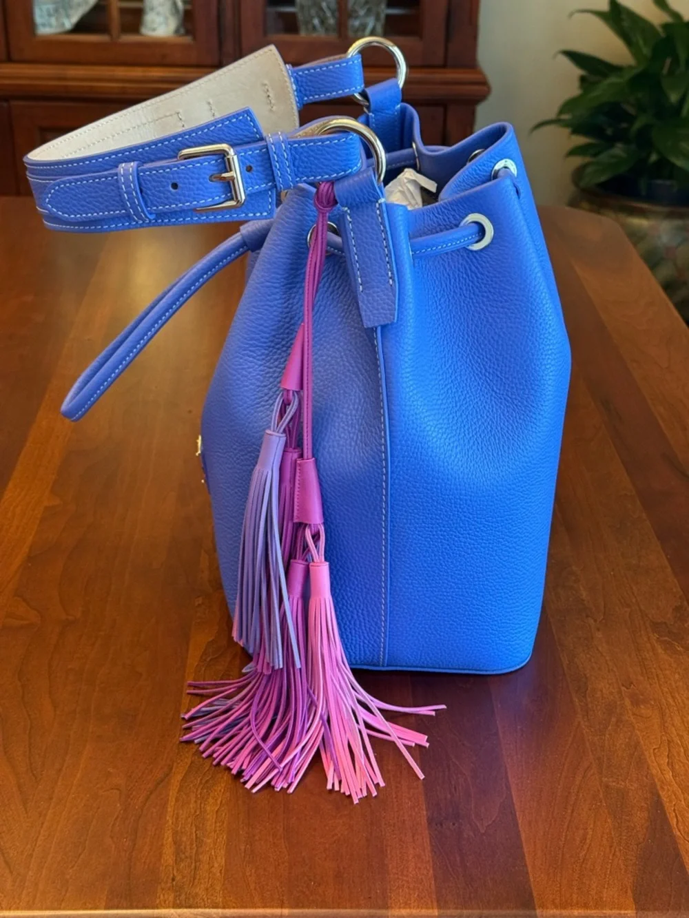 NWOT Dooney & Bourke Lucca Leather Drawstring Bag with Multi-Color Tassels - Picture 5 of 16